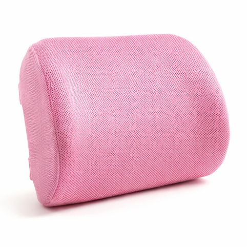 Aligna™ Lumbar Support Cushion