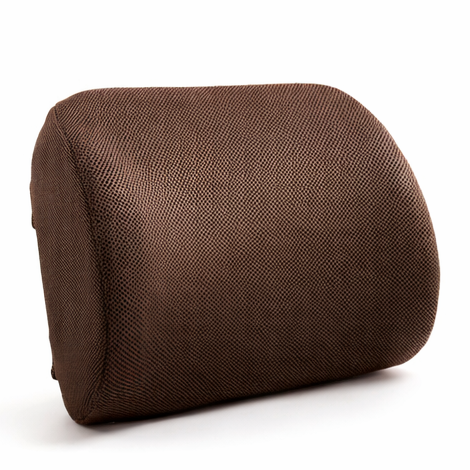 Aligna™ Lumbar Support Cushion